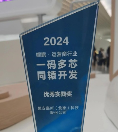 恒安嘉新出席鲲鹏昇腾开发者峰会，斩获优秀实践奖项